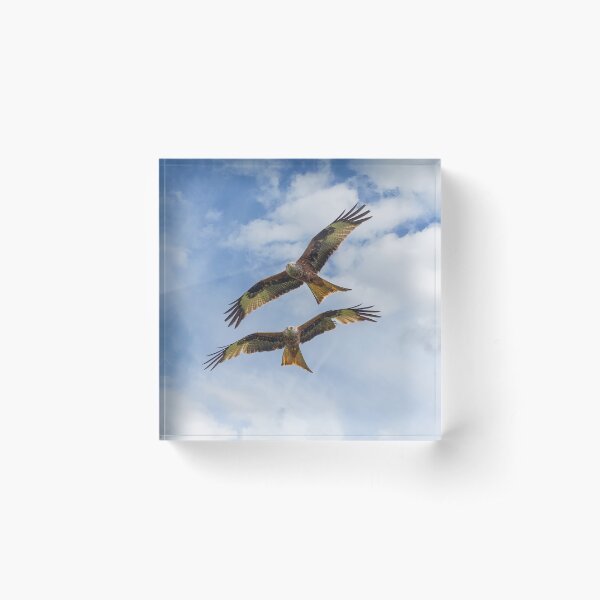 Aperçu de l'œuvre Paire de cerfs-volants rouges créée et vendue par inspireyoureyes.