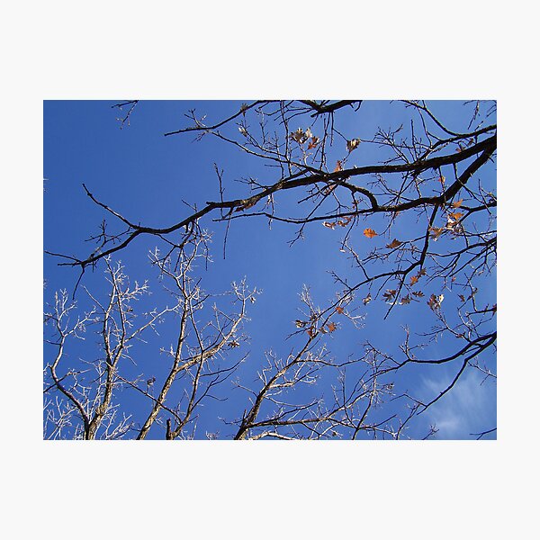 Item preview, Minnesota Fall Sky designed and sold by Jessica Ryden.