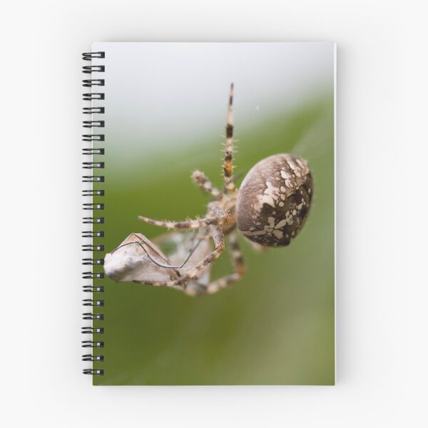 Item preview, Packed lunch designed and sold by Paul Thompson Photography.
