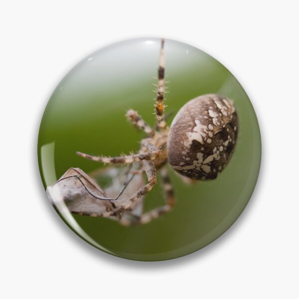 Item preview, Packed lunch designed and sold by Paul Thompson Photography.