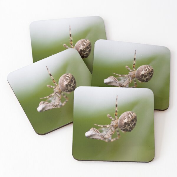 Item preview, Packed lunch designed and sold by Paul Thompson Photography.
