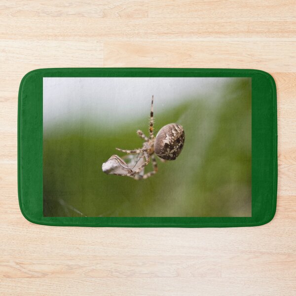 Item preview, Packed lunch designed and sold by Paul Thompson Photography.