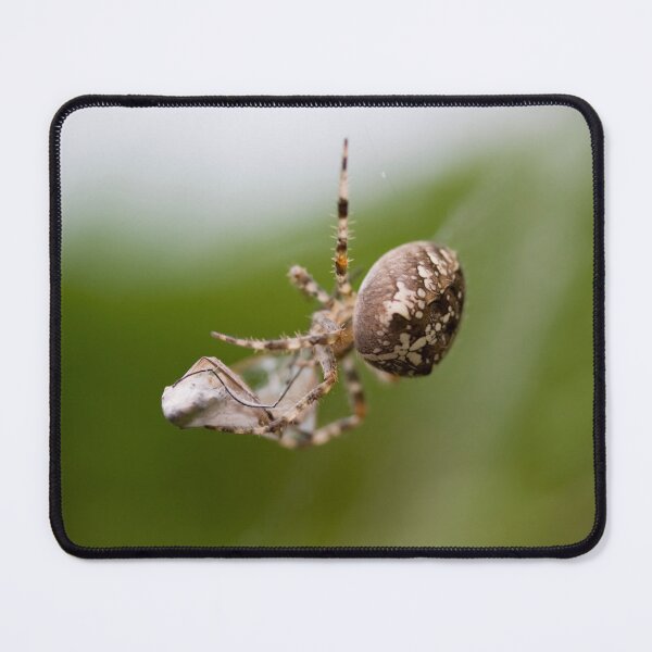 Item preview, Packed lunch designed and sold by Paul Thompson Photography.