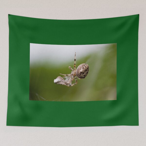 Item preview, Packed lunch designed and sold by Paul Thompson Photography.