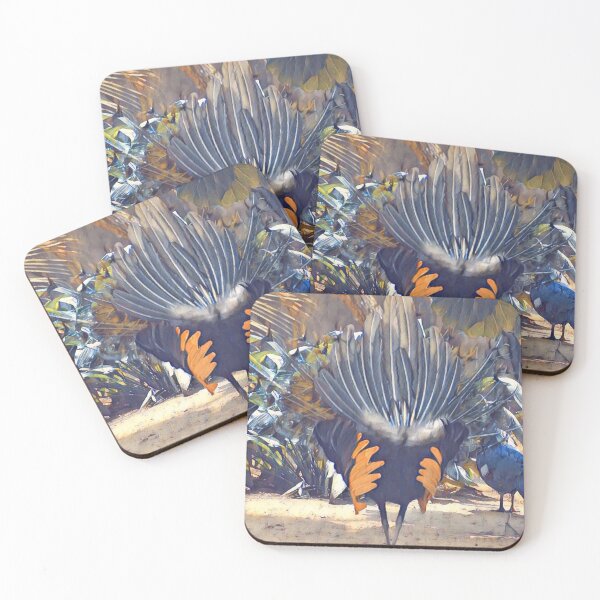 Item preview, Javan Green Peafowl chick designed and sold by Sharon the Zoo Lady Photography .