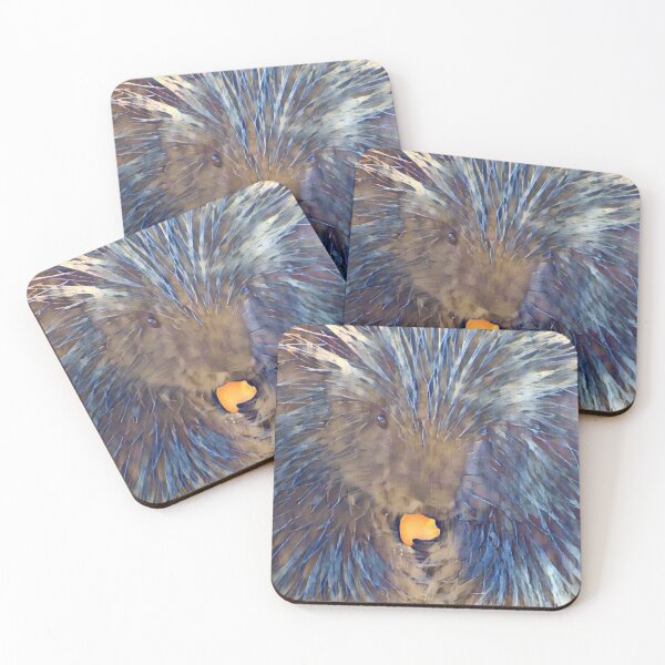 Item preview, North American Porcupine  designed and sold by Sharon the Zoo Lady Photography .