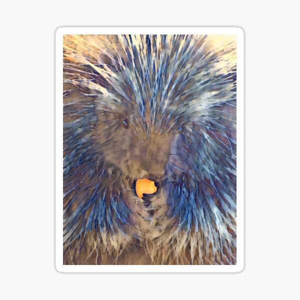 Star Stickers – Porcupine Stickers