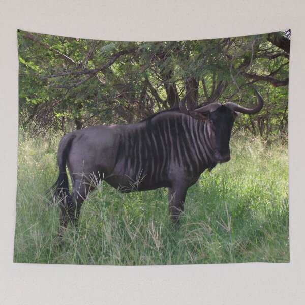 Item preview, Blue Wildebeest | African Wildlife designed and sold by Artisnaps.