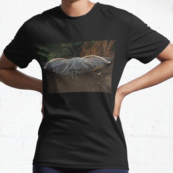 Superb Lyrebird, male in full display. Active T-Shirt