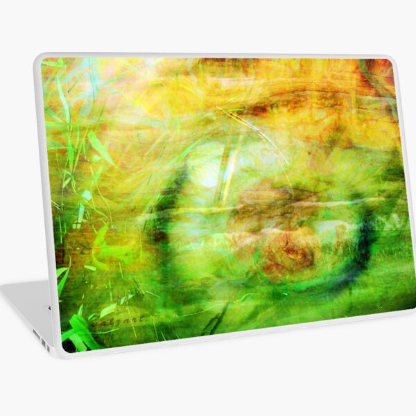 Winnie the Pooh sticks Laptop Skin