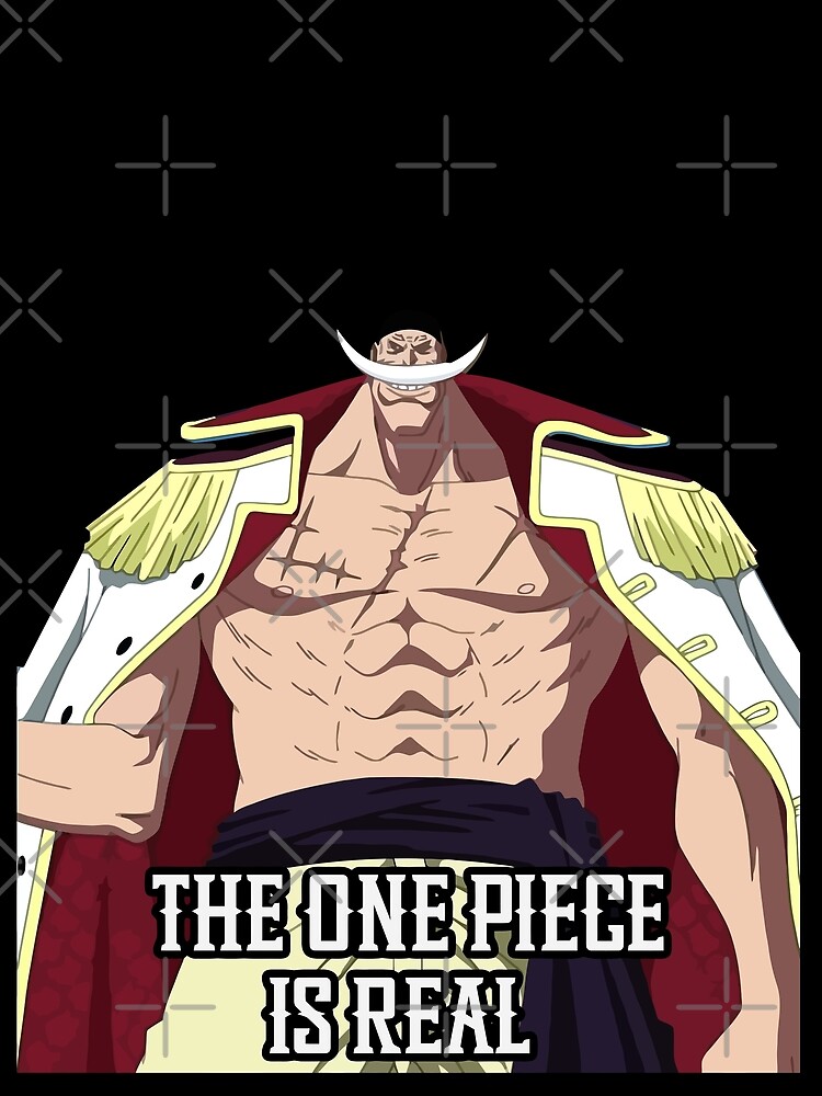 The One Piece Is Real