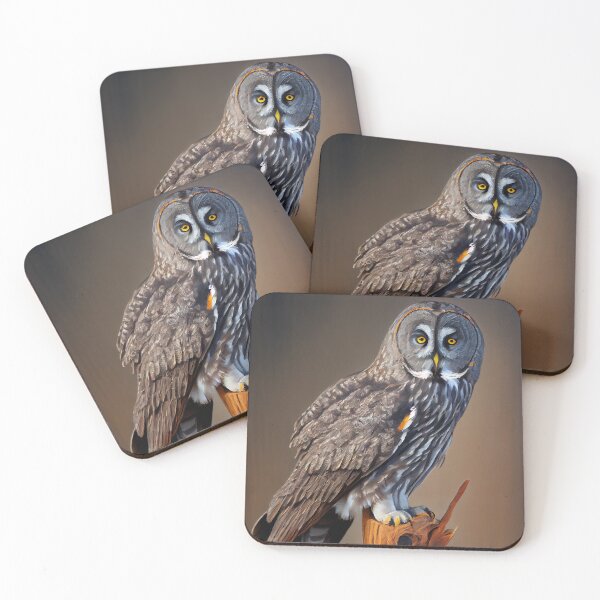 Item preview, Great gray owl - Oil Paint designed and sold by ABArtByAlexST.