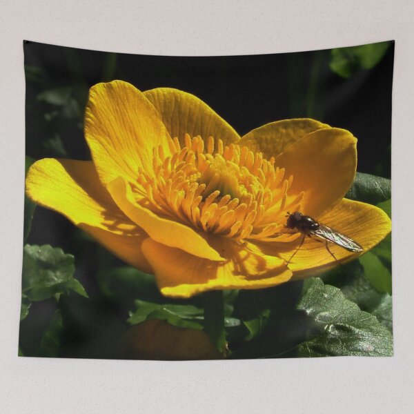 Item preview, All in Yellow : Water or Lesser Celandine designed and sold by AnnDixon.