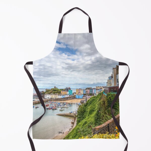 Item preview, Tenby Harbour Beach And Town Houses designed and sold by Paul Thompson Photography.