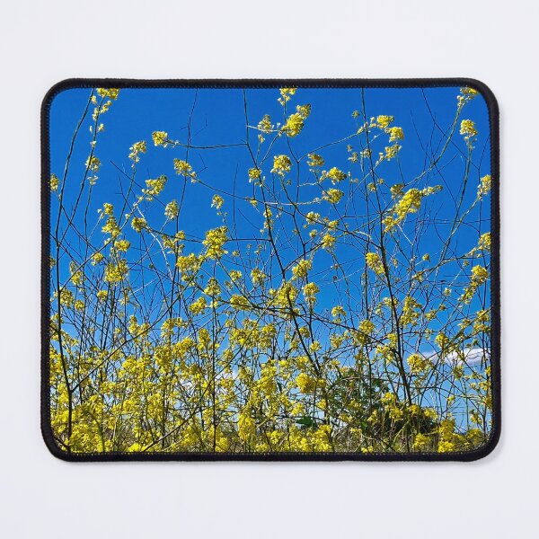 Item preview, Blue and gold designed and sold by Tanyateo.