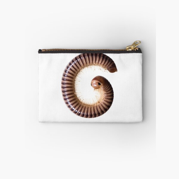 Item preview, Cute Millipede (Diplopoda Diplocheta) designed and sold by ArthroLove.