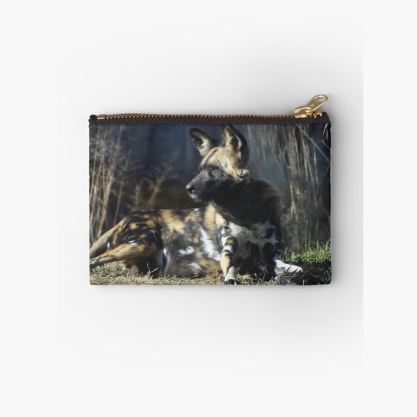 Item preview, African Painted Dog  designed and sold by Sharon the Zoo Lady Photography .