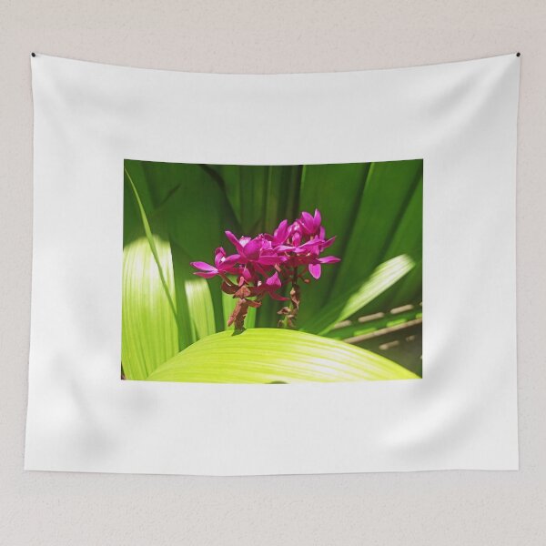 Item preview, Beautiful Purple Flowers Sri Lanka Photograph designed and sold by ImeshArtworks.
