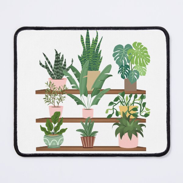 Item preview, Clear Plants on shelf Sticker, Anthurium crystallinum, Plant Mom, Plant Sticker, Laptop Sticker, Weatherproof Sticker, Water bottle stickers designed and sold by Ssimo30.