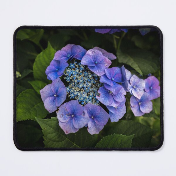 Item preview, Blue flowers in Bremen designed and sold by Lassi Rintala.