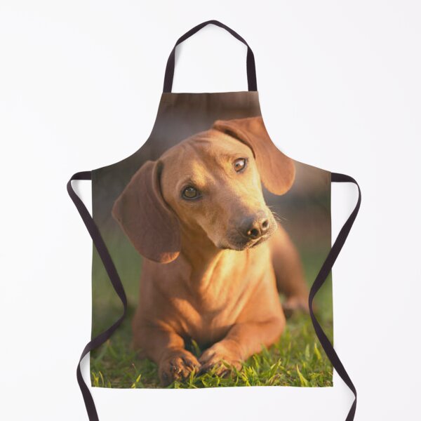 Item preview, Smooth Red Dachshund designed and sold by DesignVertex.