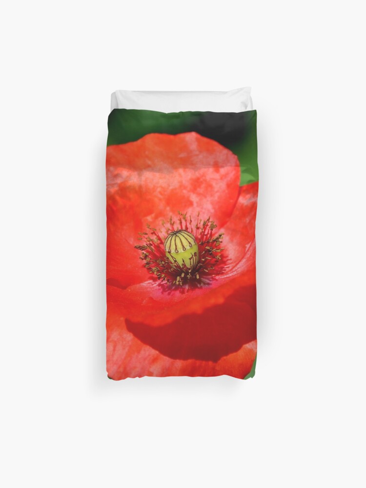 Papaver Rhoeas Common Red Poppy Duvet Cover By Anndixon Redbubble