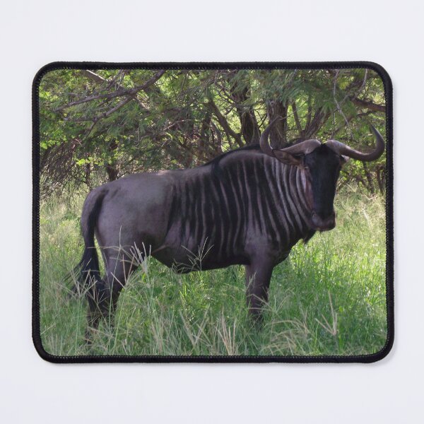 Item preview, Blue Wildebeest | African Wildlife designed and sold by Artisnaps.