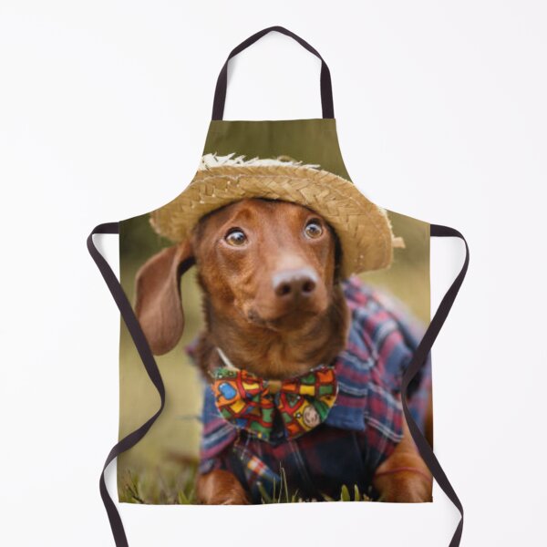 Item preview, Miniature Dachshund Wearing Sweater and Hat designed and sold by DesignVertex.