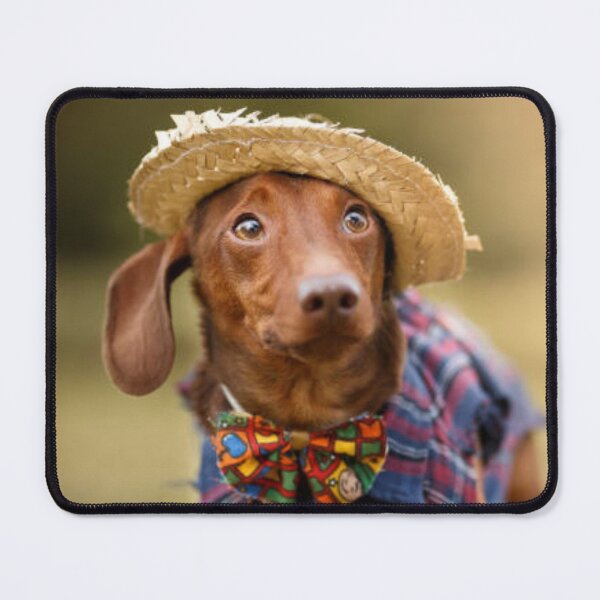 Item preview, Miniature Dachshund Wearing Sweater and Hat designed and sold by DesignVertex.