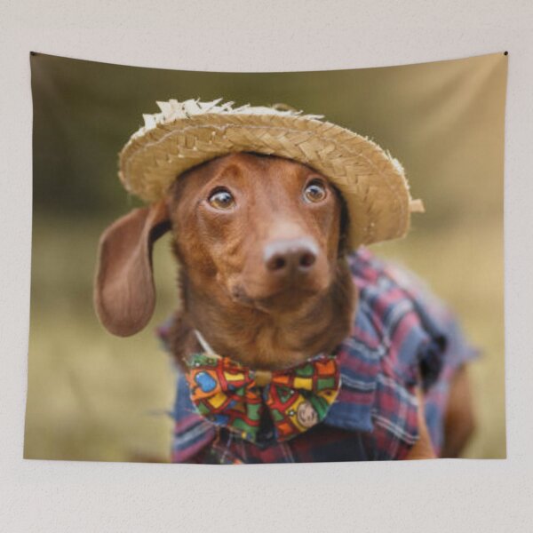 Item preview, Miniature Dachshund Wearing Sweater and Hat designed and sold by DesignVertex.
