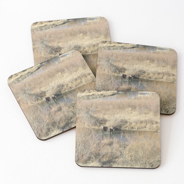 Item preview, Moose cow and calf in Montana designed and sold by rmcdi.