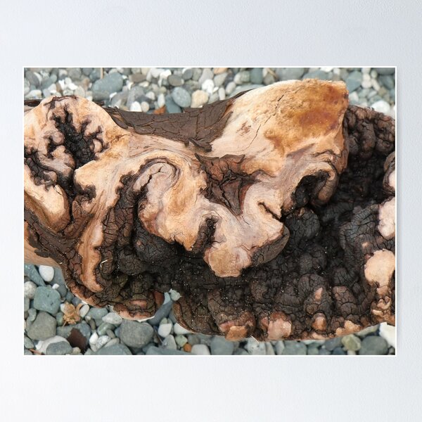 Item preview, Ocean Burl and Stone designed and sold by Chriscolibaba.