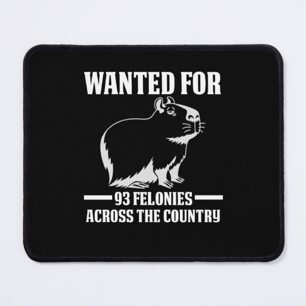 Item preview, Wanted For 93 Felonies Across The Country designed and sold by AYACHI90.