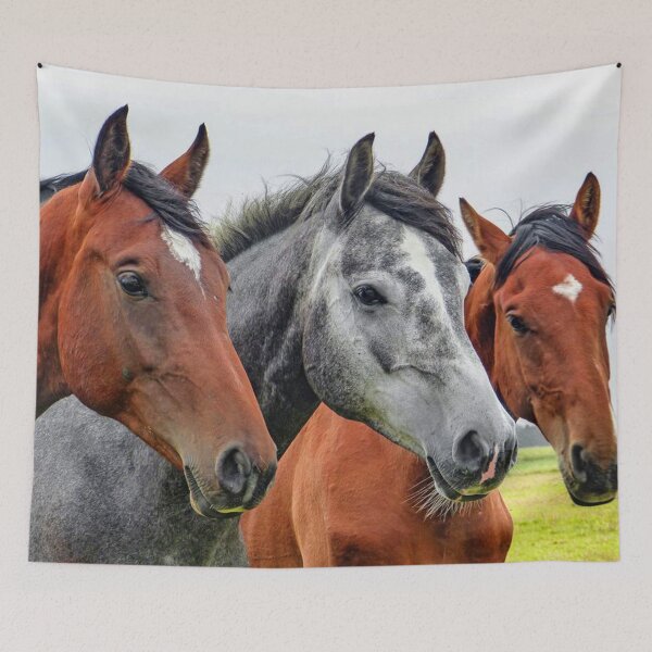 Item preview, Three horses, a grey between two bays, standing in a field. designed and sold by claireseyeview.
