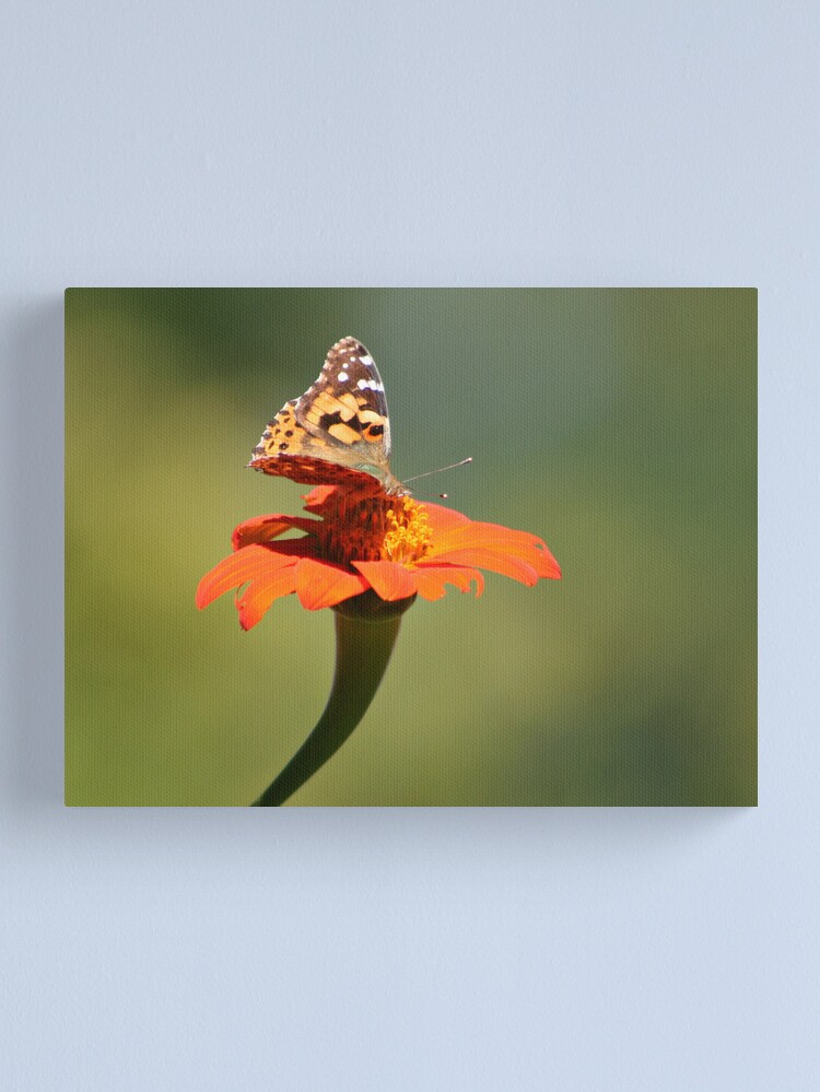 Thumbnail 1 of 3, Canvas Print, Perpetual Beauty designed and sold by idnurse41.