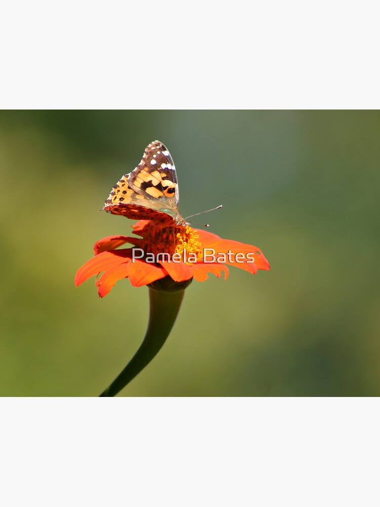 Thumbnail 3 of 3, Canvas Print, Perpetual Beauty designed and sold by idnurse41.