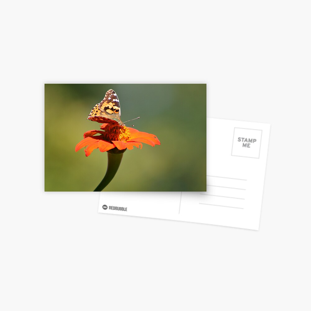 Item preview, Postcard designed and sold by idnurse41.