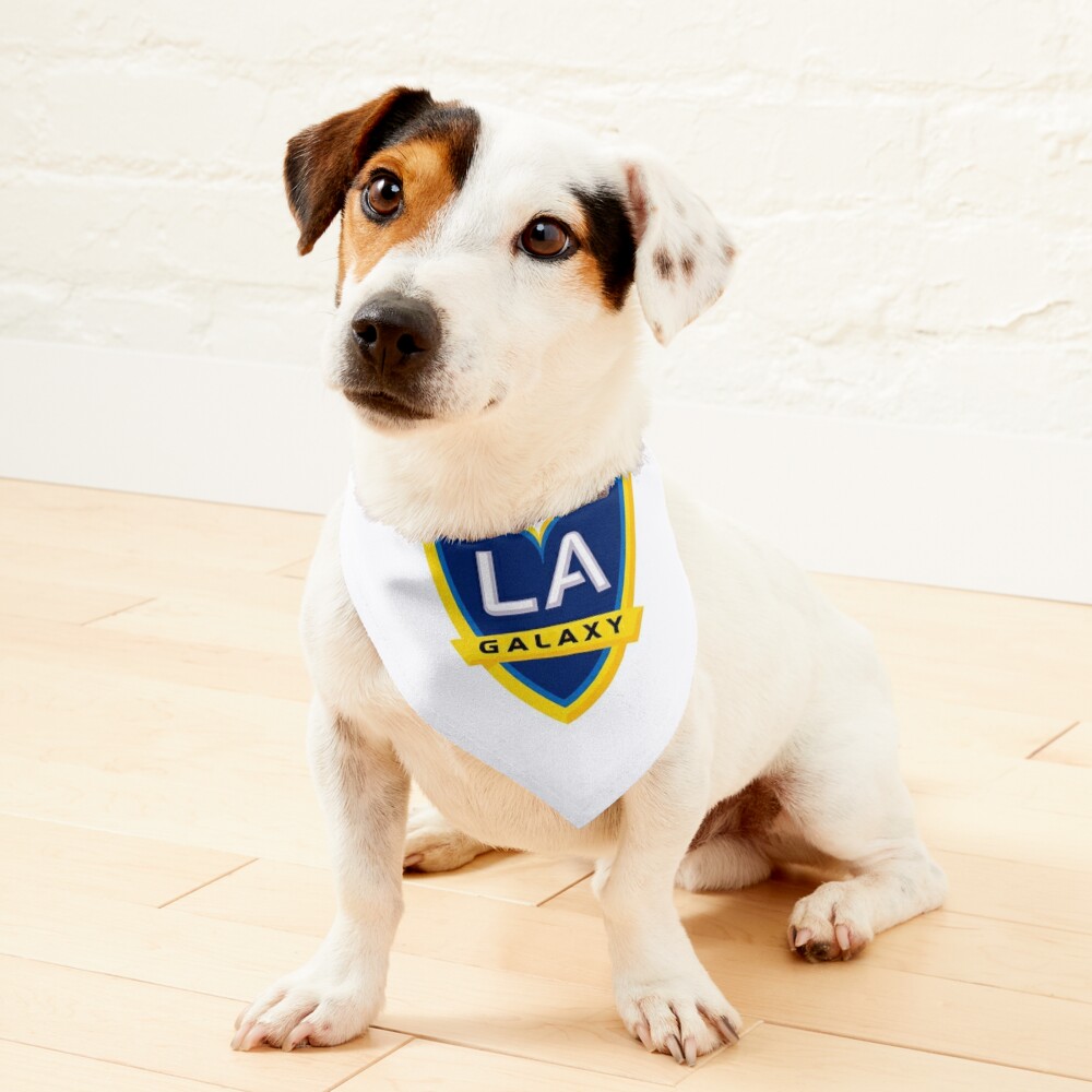 La galaxy hot sale dog jersey