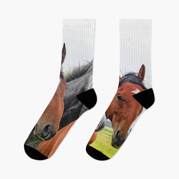 Item preview, Three horses, a grey between two bays, standing in a field. designed and sold by claireseyeview.
