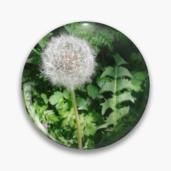 Item preview, Dandelion Seed Head  designed and sold by SandersSP-Merch.