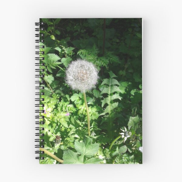 Item preview, Dandelion Seed Head  designed and sold by SandersSP-Merch.
