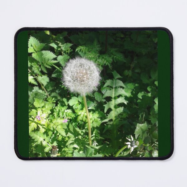 Item preview, Dandelion Seed Head  designed and sold by SandersSP-Merch.