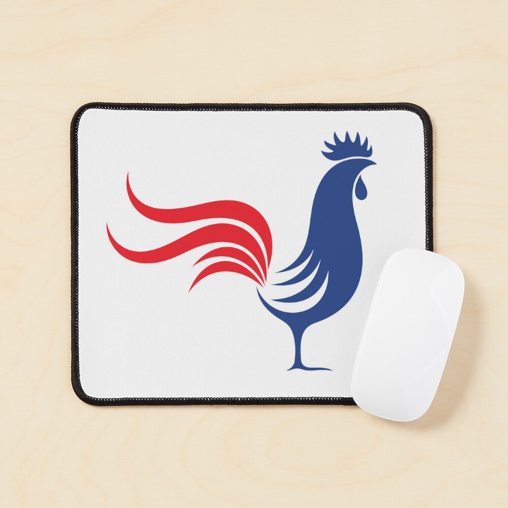 Why do France have a rooster on their badge? Les Bleus are wearing