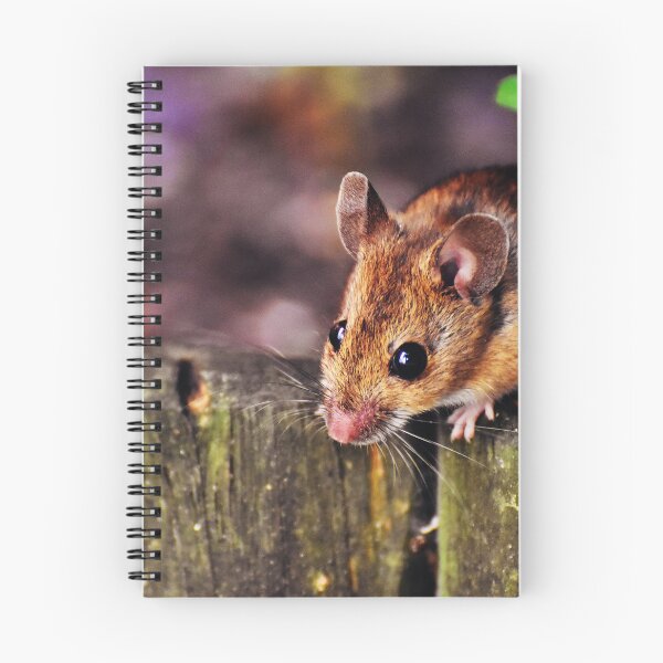 Item preview, Ratón designed and sold by ReljaX.