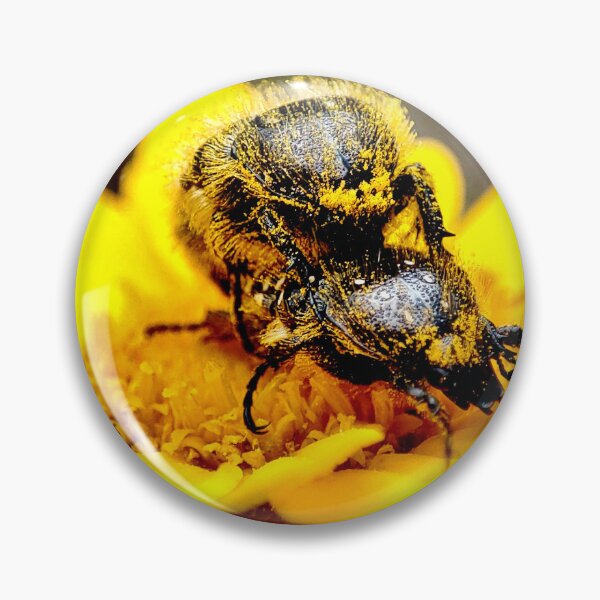 Item preview, Pollen love story or Oxythyrea funesta. designed and sold by elGatCendrer.