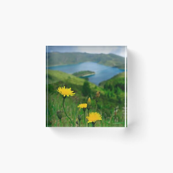 Item preview, Springtime in Fogo crater designed and sold by Gaspar Avila.