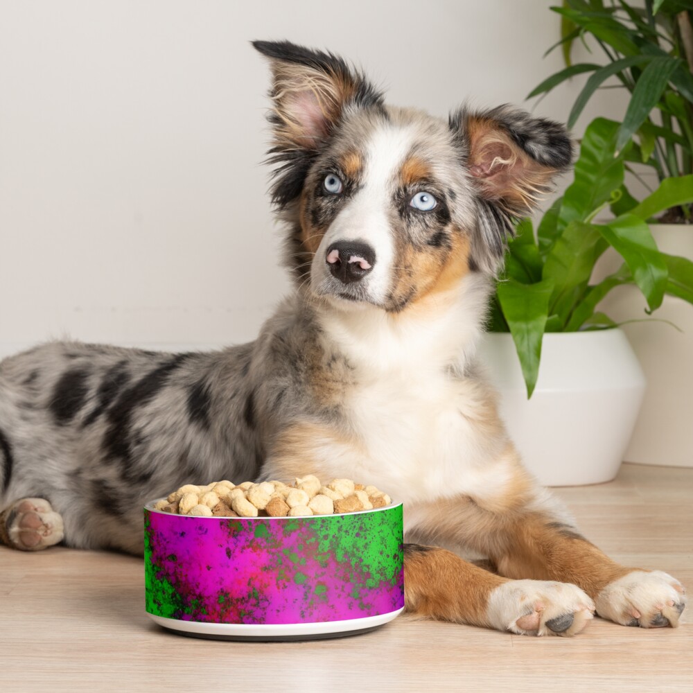 Item preview, Pet Bowl designed and sold by that5280lady.