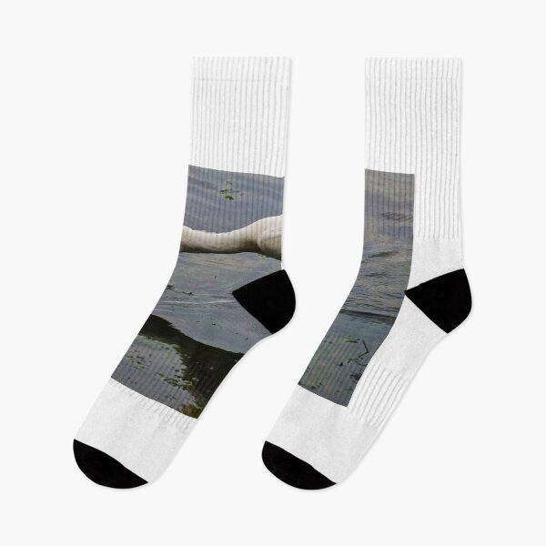 Item preview, Spoonbill Feeding designed and sold by D-GaP.