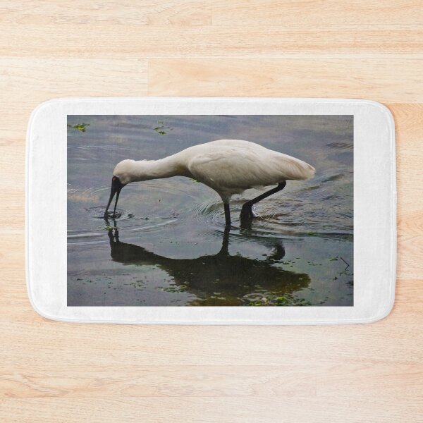 Item preview, Spoonbill Feeding designed and sold by D-GaP.