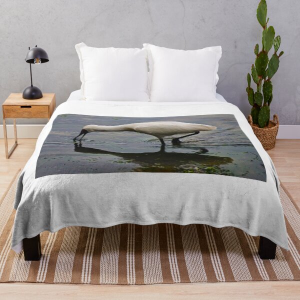 Item preview, Spoonbill Feeding designed and sold by D-GaP.